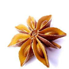 Star Anise for Anise Essential Oil